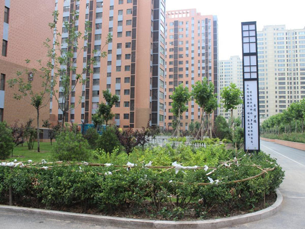 當(dāng)代國(guó)際花園